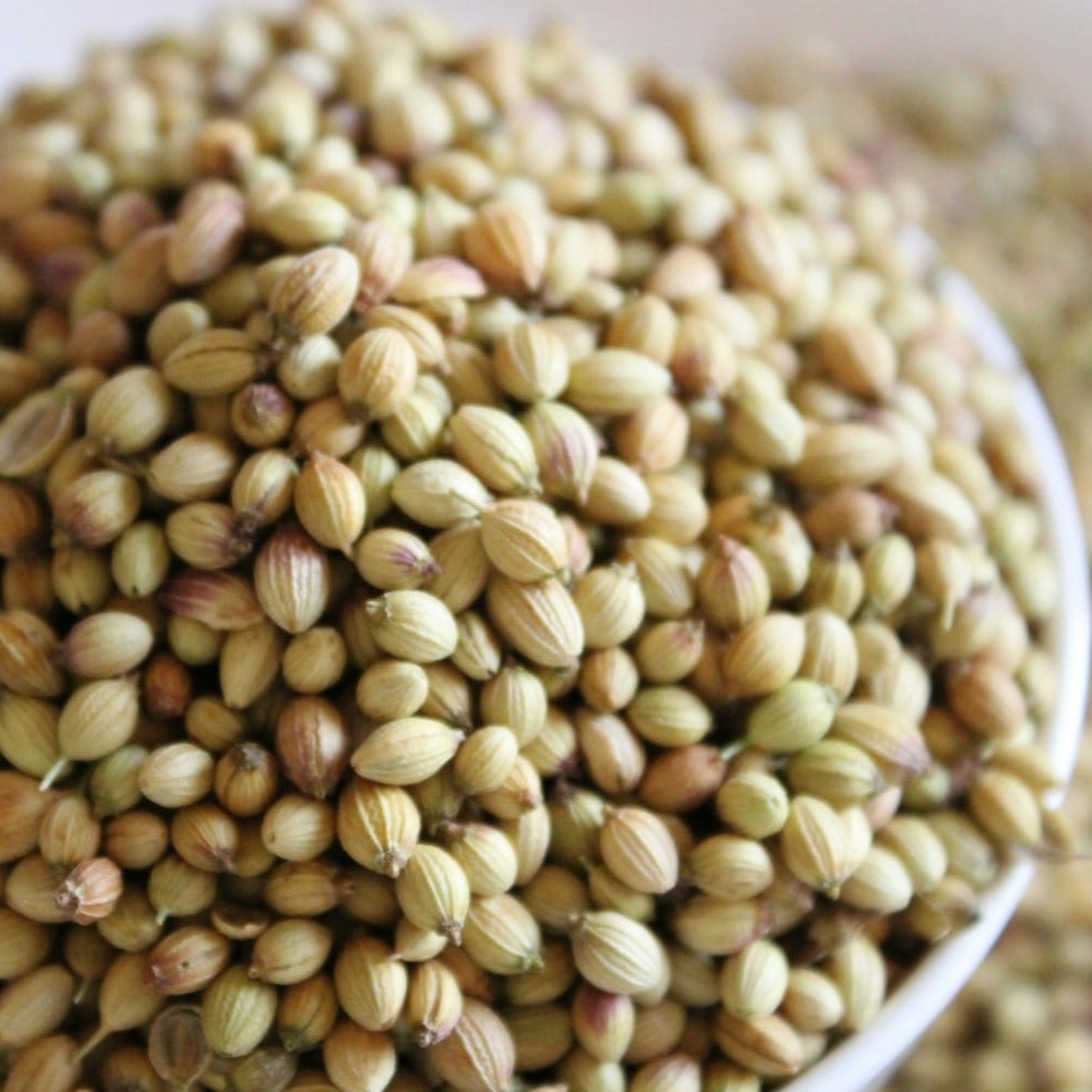 CORIANDER