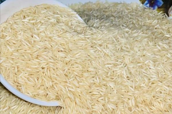 1121 STEAM BASMATI RICE